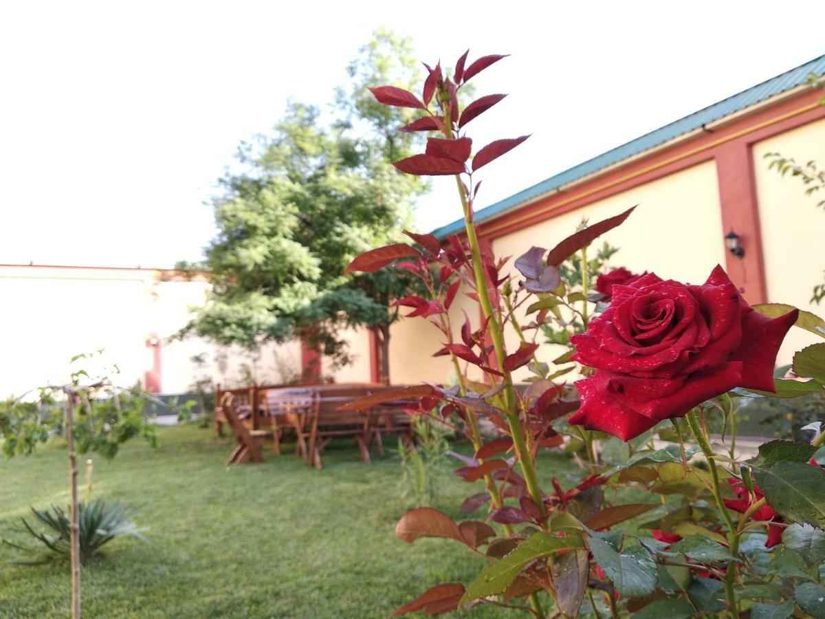 Chinor Garden Hotel - Free Airport Pick-Up And Drop-Off Taszkent Zewnętrze zdjęcie